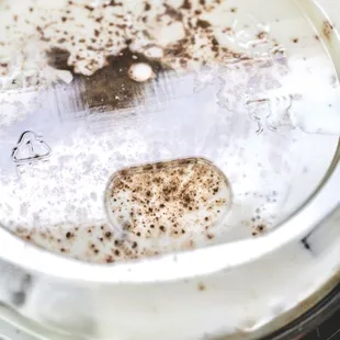 Cocoa Cream Cold Brew (Top View).