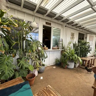 View from corner spot