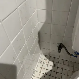 Blood/poop?? How? Why? 12/2022