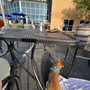 Well-behaved patio pups allowed at raised grain
