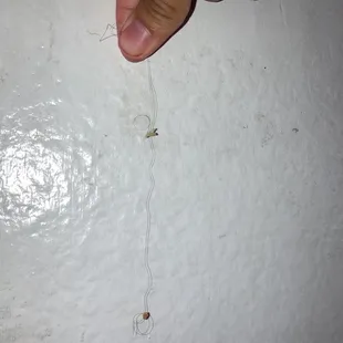 my dad was eating a chicken tender and there was a hair in his food, we wont be back