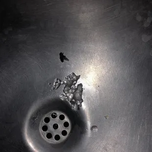 From my drink at canes