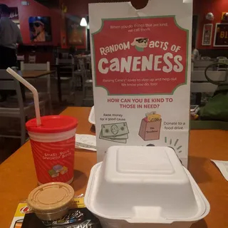 Fountain Drink