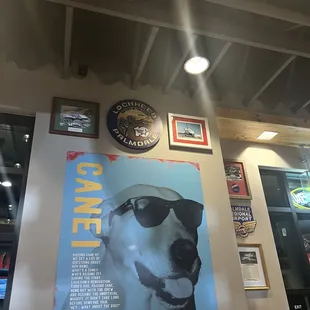 Cane -- CEO&apos;s pet labrador