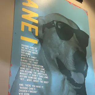 Raising Cane&apos;s backstory