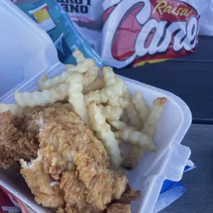 Chicken and fries
