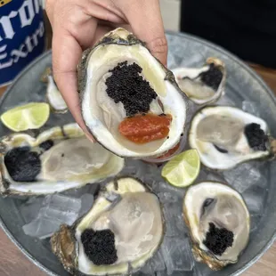 oysters and mussels, mussels, food, shellfish, oysters