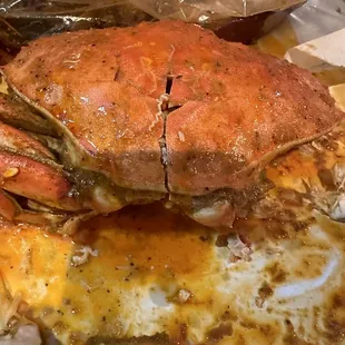 Dungeness Crab
