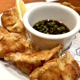 Pork Gyoza