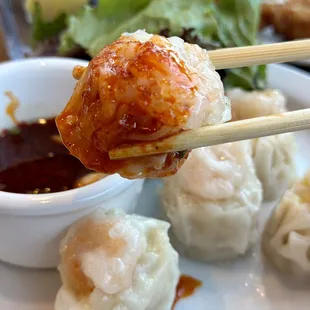 Shrimp Shumai