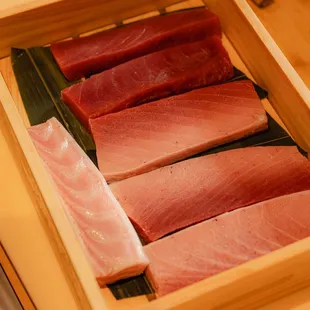 Blue Fin Tuna