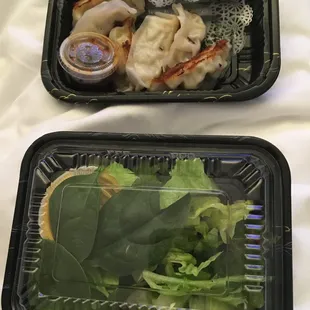 Gyoza and salad