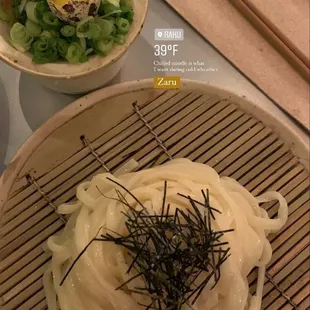 Cold Udon