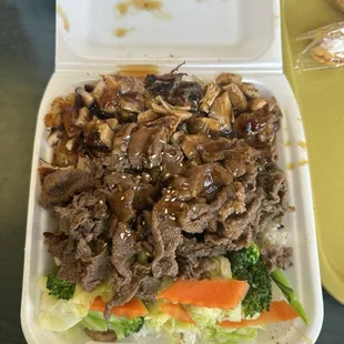 Teriyaki and chicken plate