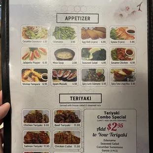Appetizer and Teriyaki menu