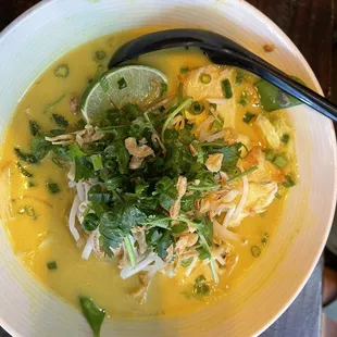 Chicken Coconut Curry Noodle