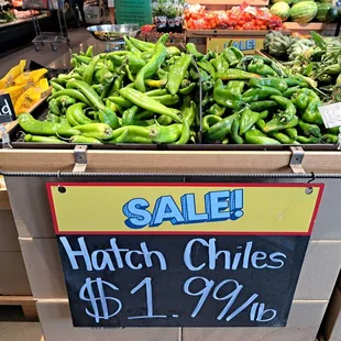 Mild and Hot Hatch Chiles $1.99 per lb on sale 9/20/23. They&apos;re big!