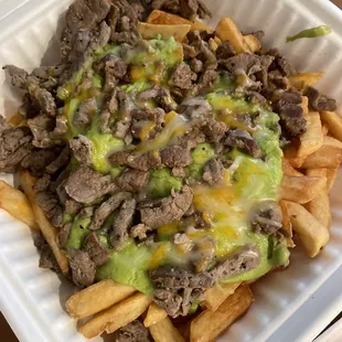 Carne Asada Fries (without sour cream)