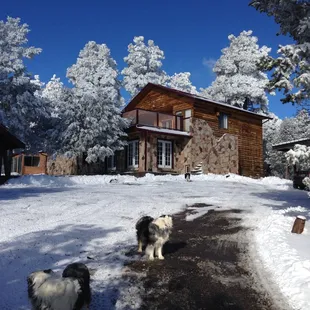 Maybe your Dream is a beautiful Mountain Cabin?