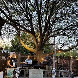a group of people playing music under a tree