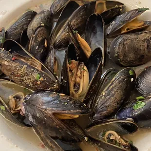 Mussel White Sauce