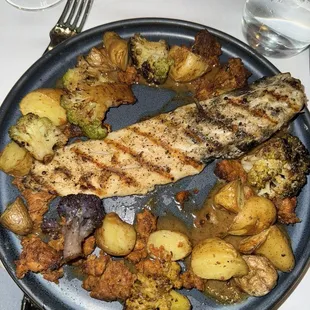 Grilled Speckled Trout