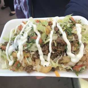 Loaded carnesada  friesits a food truck