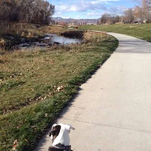 Path to Ralston Central Park