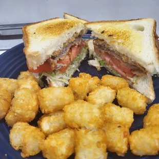 Steak sandwich TOASTER