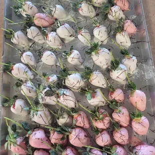 interior, sandwiches