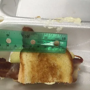 Chicken club sandwich, was supposed to have lettuce and tomato but that didn't make it on.