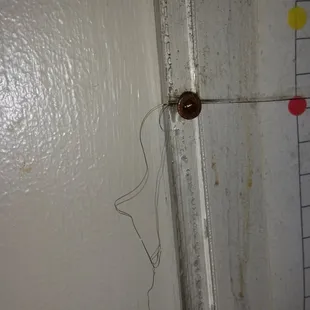 just some of the hair stuck to the door...