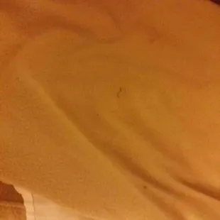 pubes and stains on sheets