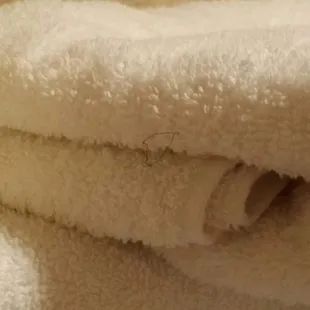 pubic hair on towel!?