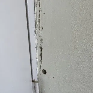 Mold all over the wall-total health hazard!