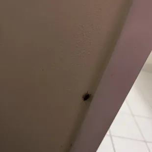 Bugs! Idk what they were!!!!