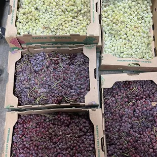 a variety of grapes in boxes