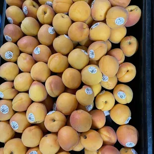 peaches and apricots for sale