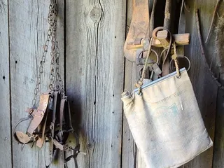 Four Mile Historic Park