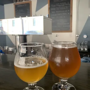 two glasses of beer on a bar