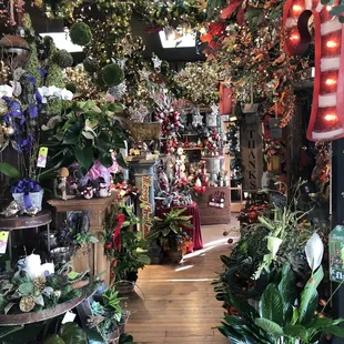 Christmas 2019