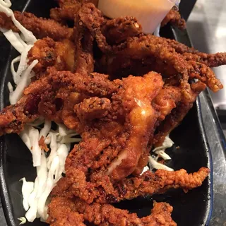 Geso Fry