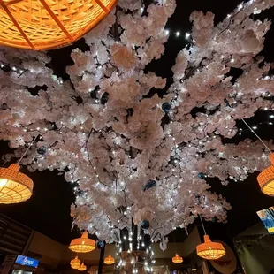The beautiful tree!