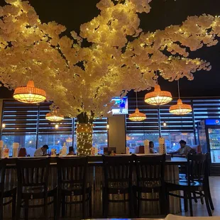 Indoor lit tree