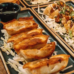 Pan fried gyoza