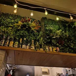 a bar with plants on the wall