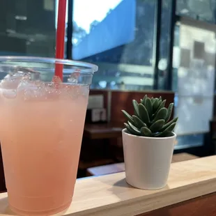 Complimentary Home made lemonade that the owner served us