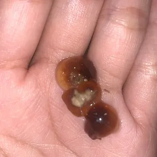 Can someone pls tell me this isn&apos;t a moldy boba in my drink .