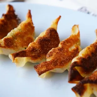 Gyoza dumpling