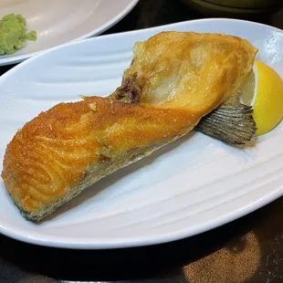 11/18/23 - Salmon Collar